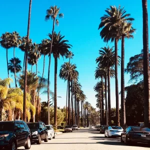 Streets of Beverly Hills CA